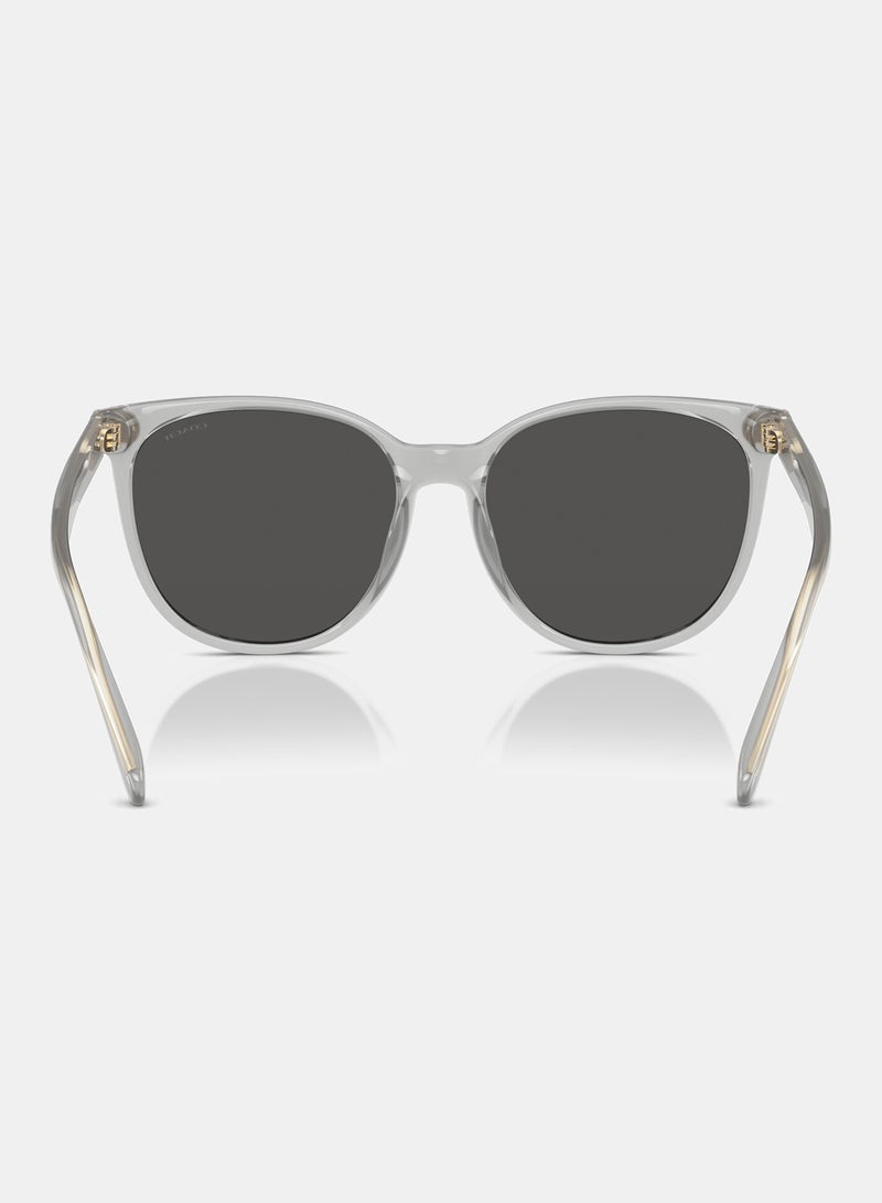 كوتش نظارة شمسية دائرية كاملة الحواف 8414BD 561487 - Image 3